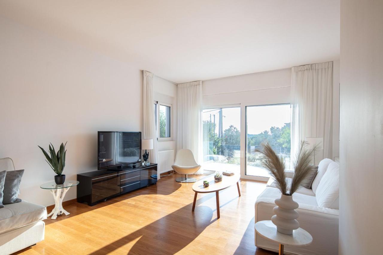 Athens Riviera Grand Panoramic Villa Lagonissi ラゴニッシ エクステリア 写真