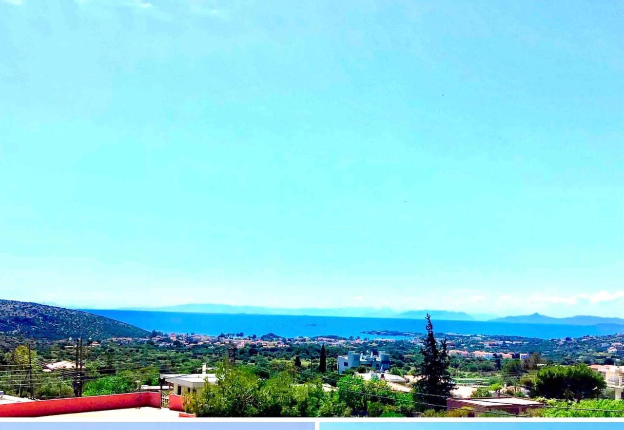Athens Riviera Grand Panoramic Villa Lagonissi ラゴニッシ エクステリア 写真